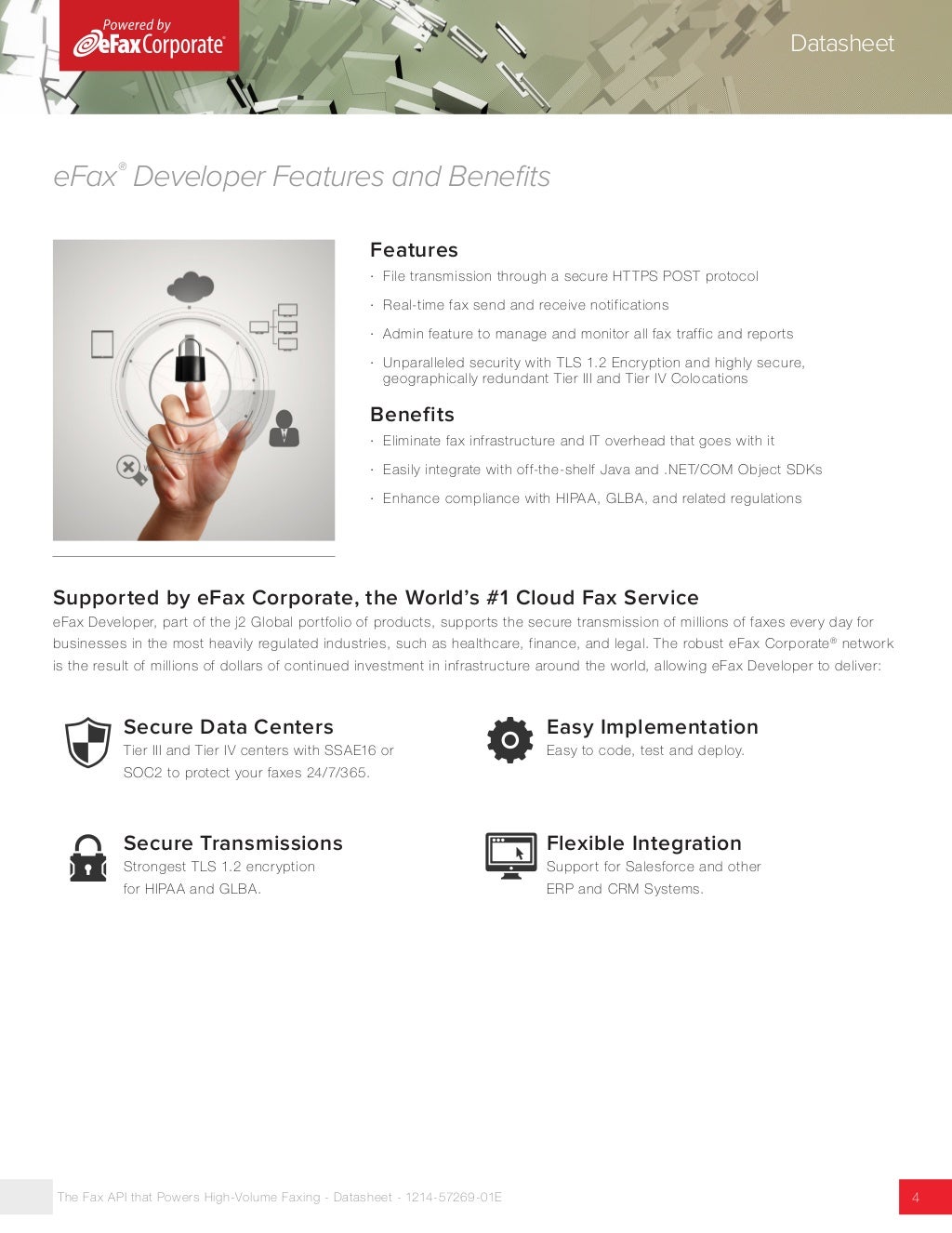 High Volume Developer